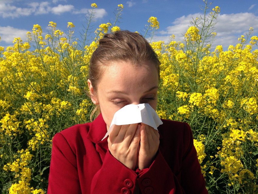 Die Pollensaison 2021 ist im vollen Gange – was kann ich als Allergiker tun?